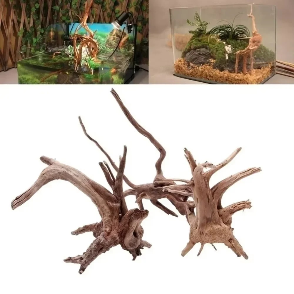 Aquarium Planted Substrate - Dekorasi Akuarium Kayu Apung Alami 15-20CM