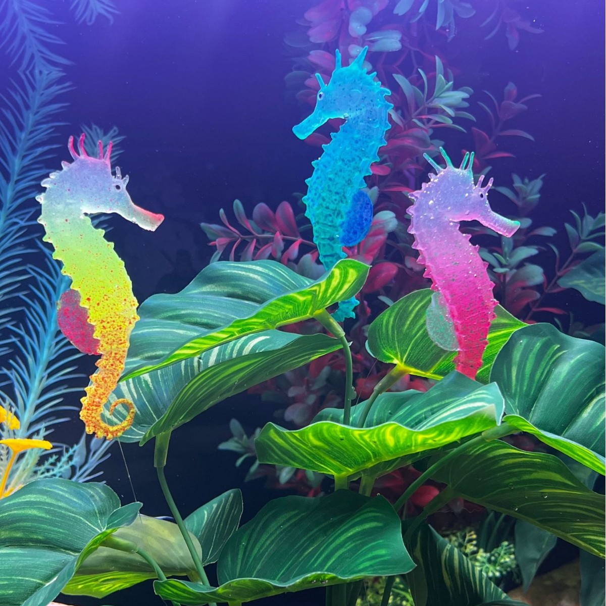 Aquarium Planted Substrate - Dekorasi Akuarium Kuda Laut Bercahaya Simulasi,
