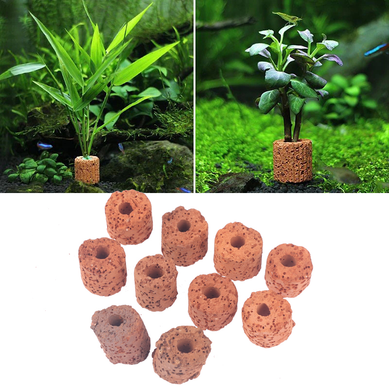 Aquarium Planted Tank Setup - 10 Buah Cincin Tanaman Air Mini