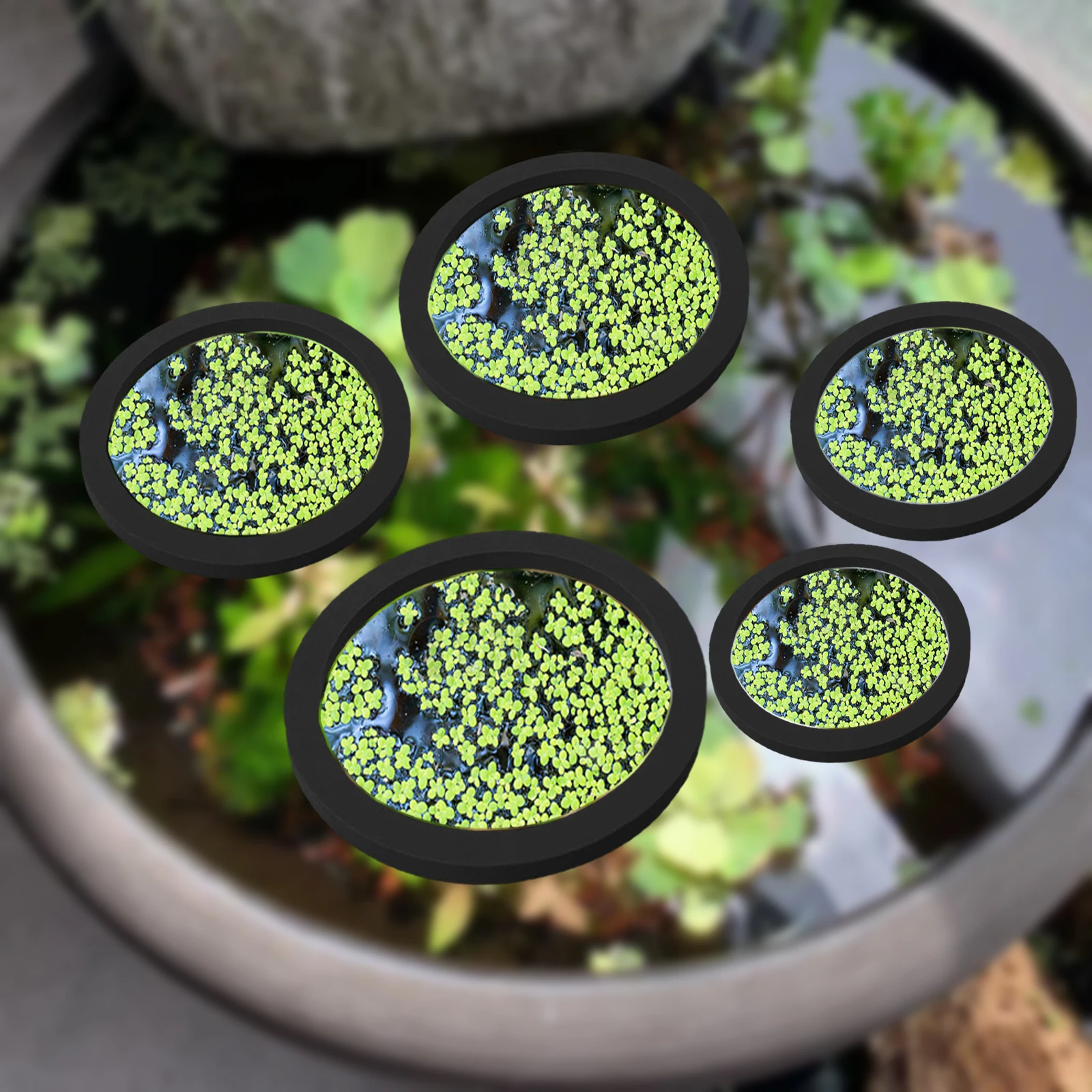 Aquarium Planted Plants - 5 buah EVA cincin pemberi makan