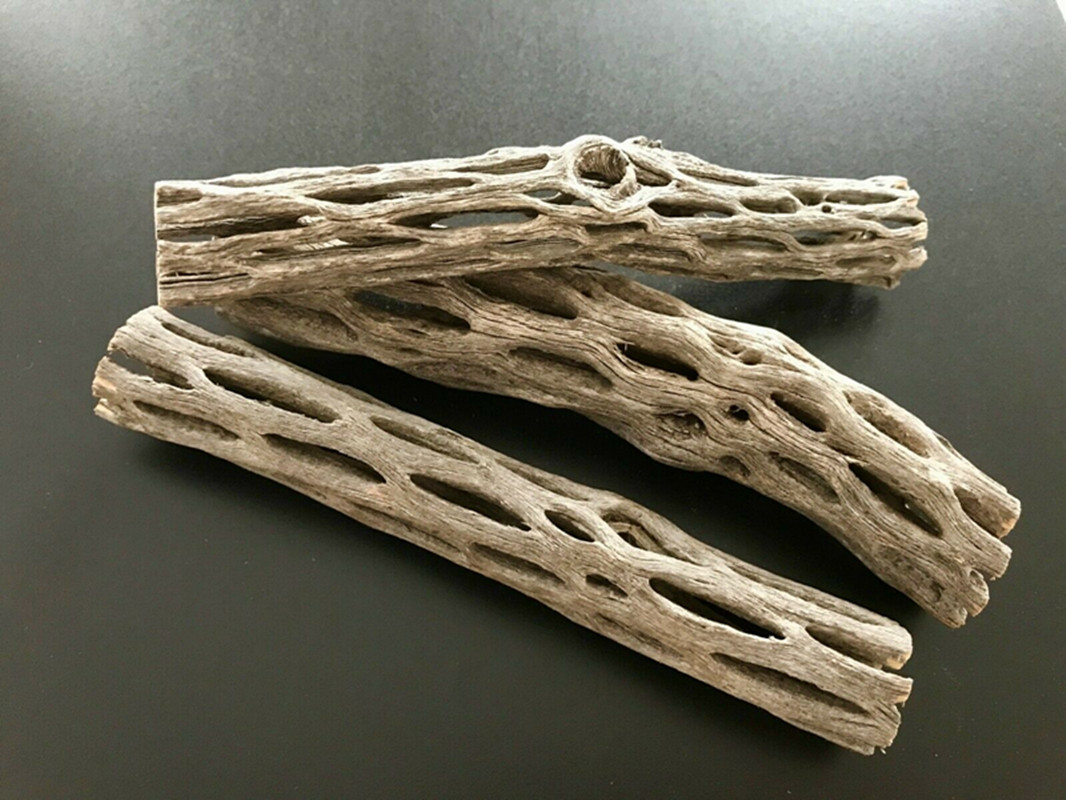 Aquarium Plant Seeds - Akuarium Organik/alami, rumah sarang udang kayu