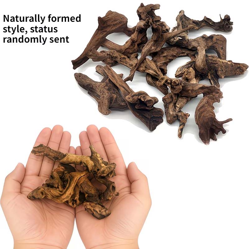 Aquarium Planted Substrate - Kayu Apung Alami 5-10CM untuk Dekorasi