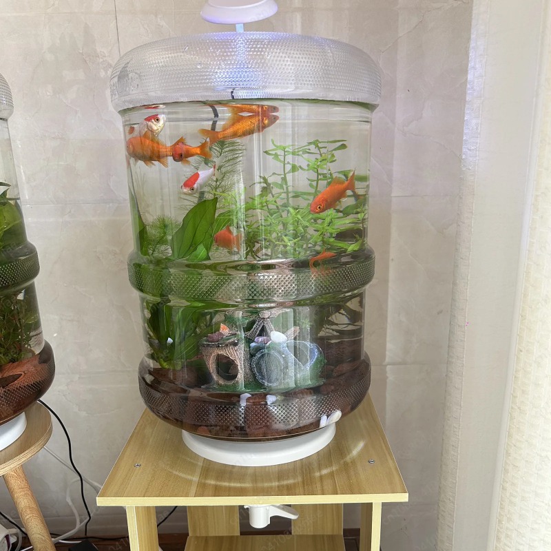 Aquarium Planted Tank Setup - Akuarium Plastik Kreatif Bentuk Ember Air