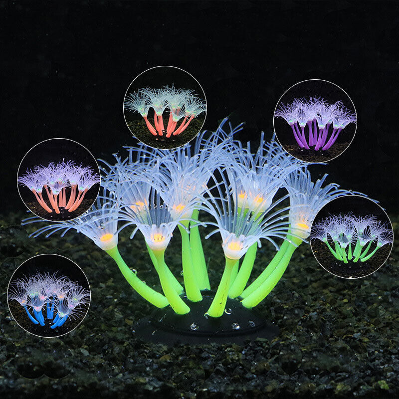 Silikon Bercahaya untuk Lanska - Aquarium Planted Substrate ulasan dan harga