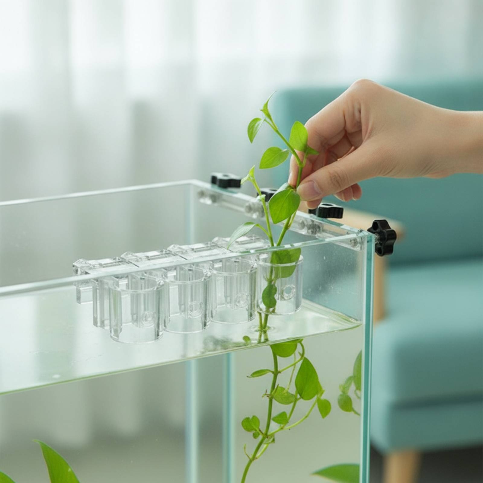 6 Buah Penjepit Penyangga Hidr - Aquarium Planted Plants ulasan dan harga