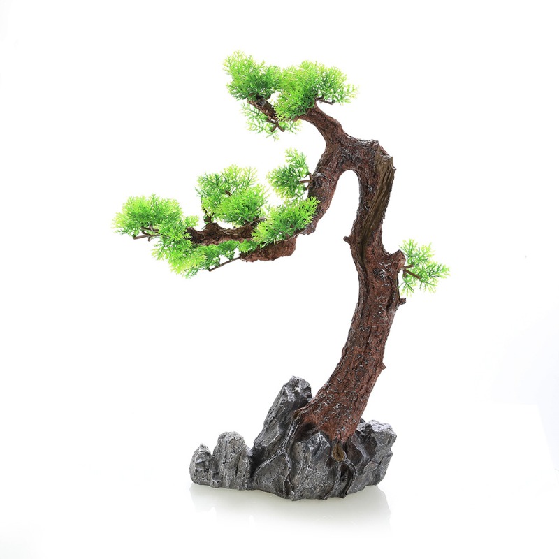 Dekorasi Akuarium Ikan Berbent - Aquarium Planted Tree ulasan dan harga