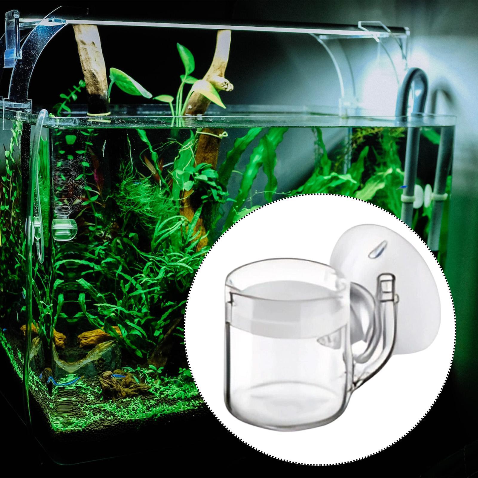 Diffuser Akuarium CO2 Bahan Ka - Aquarium Planted Tank Setup ulasan dan harga