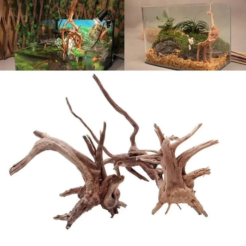 Pohon alami kayu apung akuariu - Aquarium Planted Tree ulasan dan harga