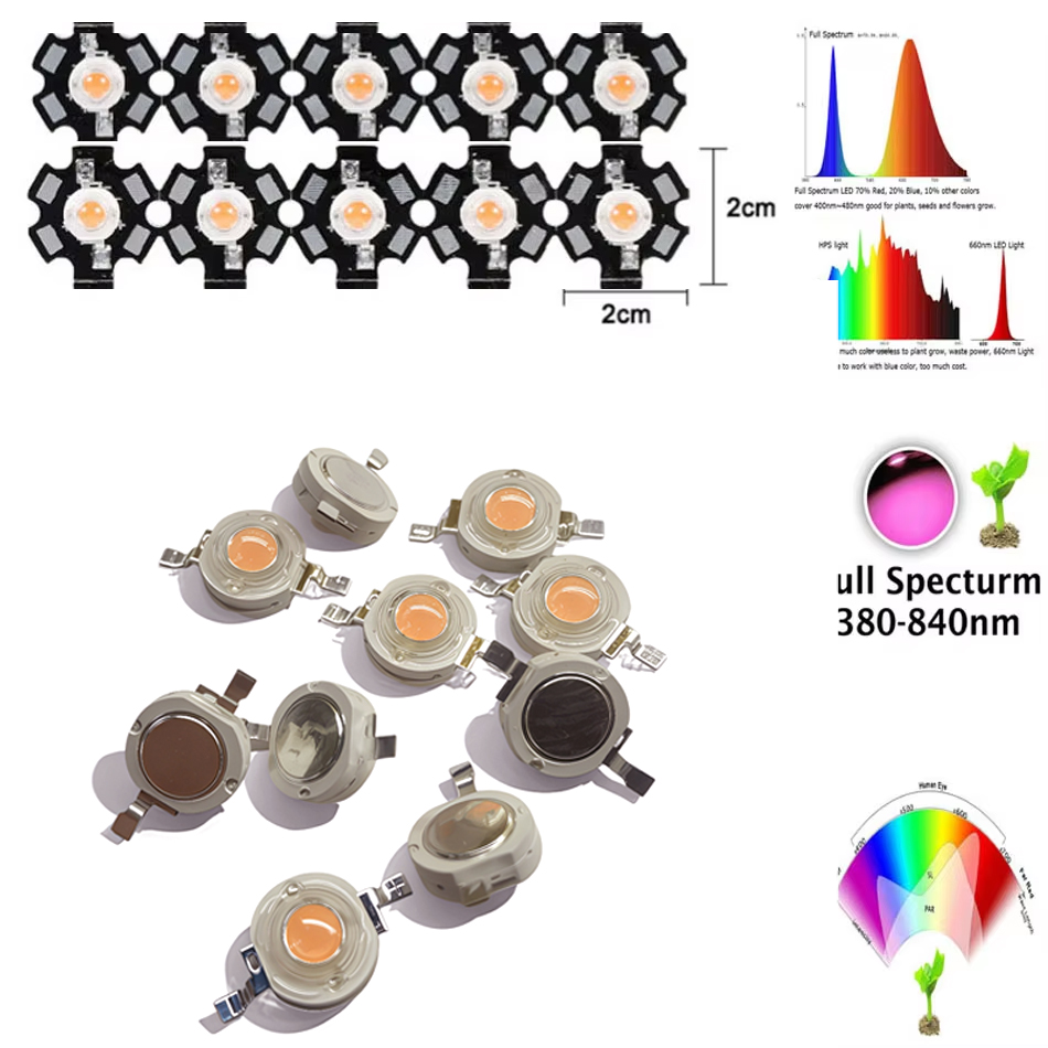 Lampu LED 1W 3W 5W, Chip COB S - Aquarium Plant Seeds ulasan dan harga