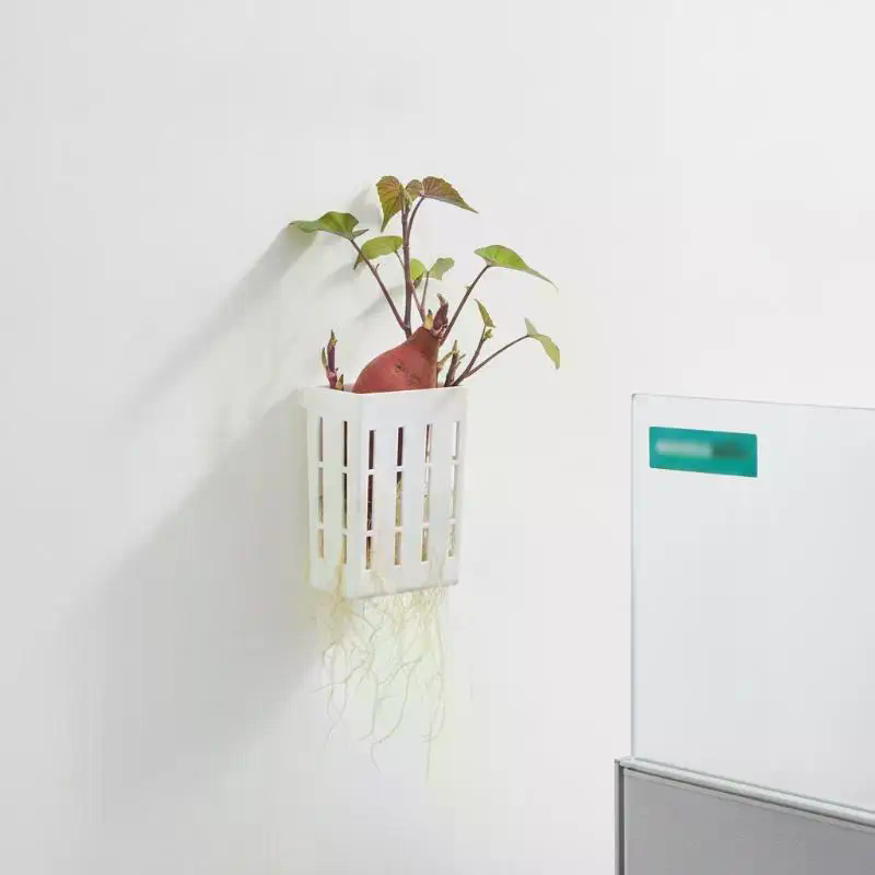 1 Buah Keranjang Penyangga Hid - Aquarium Planted Plants ulasan dan harga