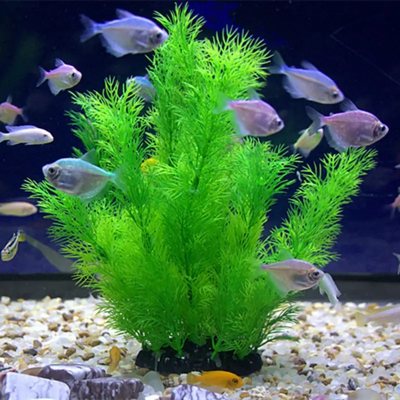 Tanaman Dekorasi Akuarium Buat - Aquarium Planted Substrate ulasan dan harga