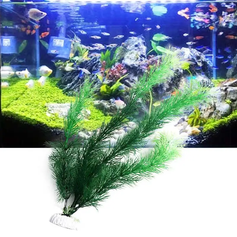 Tanaman Dekorasi Akuarium Buat - Aquarium Planted Substrate ulasan dan harga