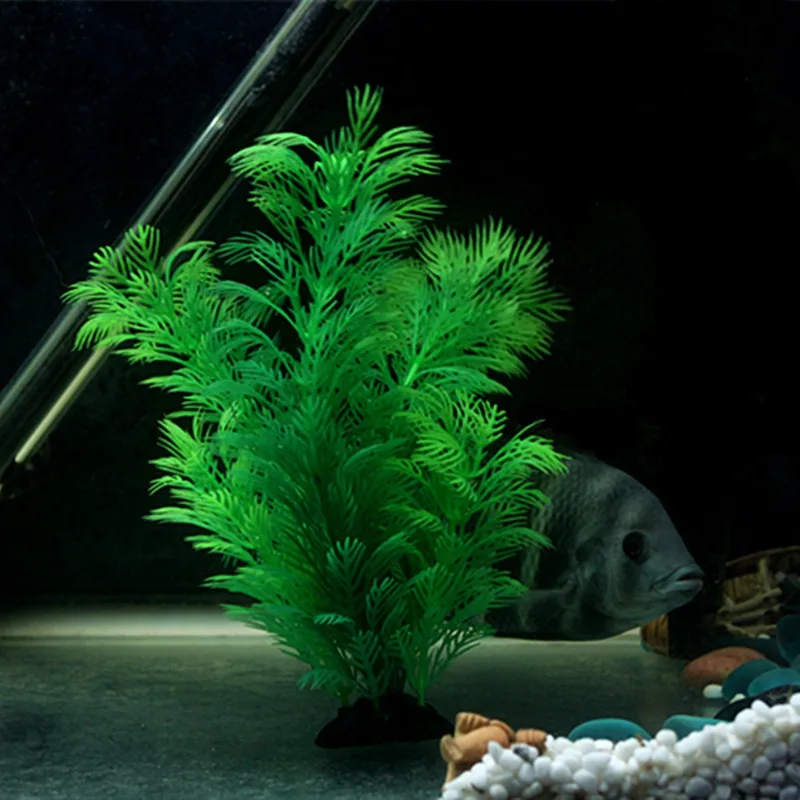 Tanaman Dekorasi Akuarium Buat - Aquarium Planted Substrate ulasan dan harga