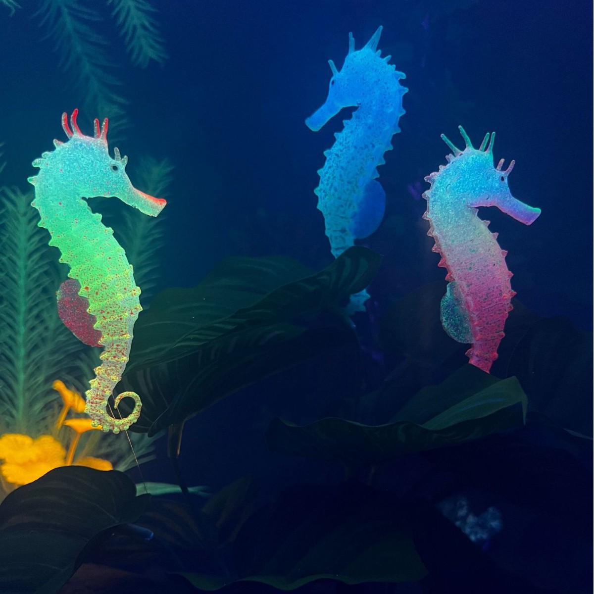 Dekorasi Akuarium Kuda Laut Be - Aquarium Planted Substrate ulasan dan harga