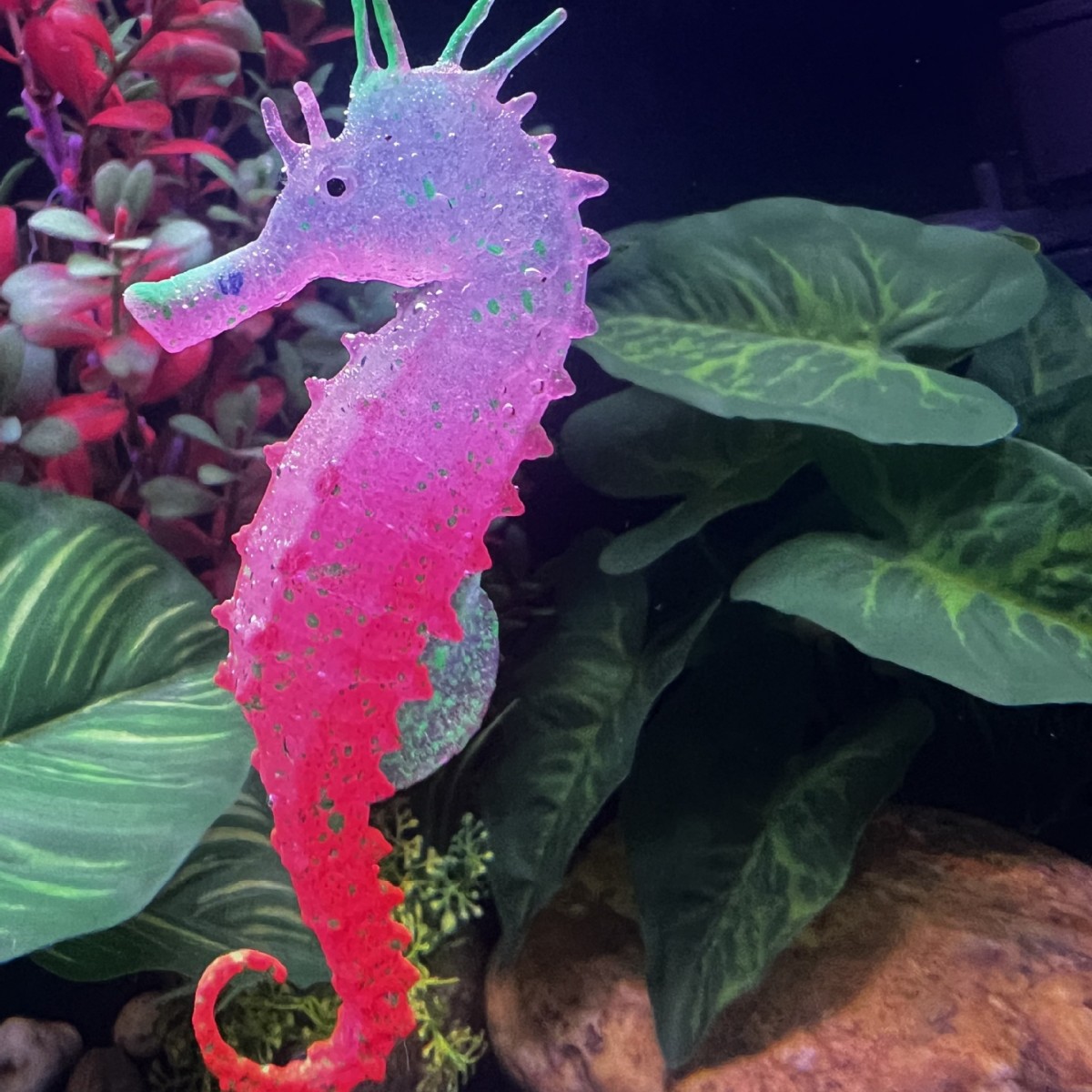 Dekorasi Akuarium Kuda Laut Be - Aquarium Planted Substrate ulasan dan harga