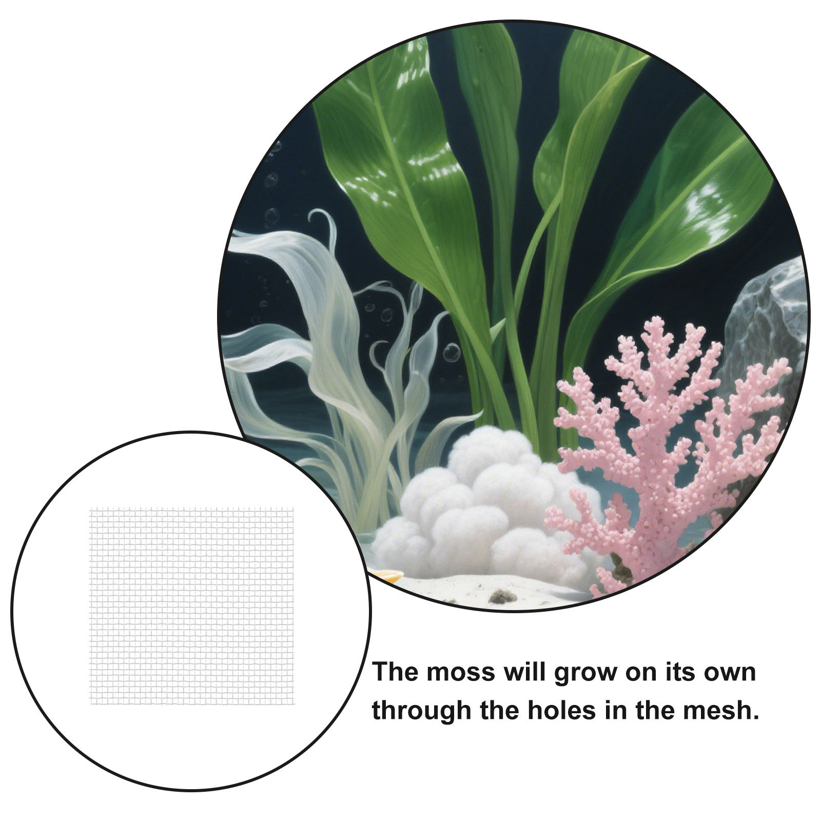 12 buah jaring kawat baja taha - Aquarium Planted Tank Setup ulasan dan harga