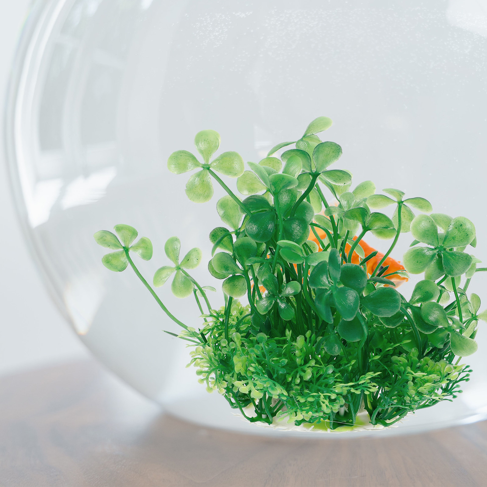 Tanaman Akuarium Buatan Plasti - Aquarium Planted Tank Setup ulasan dan harga