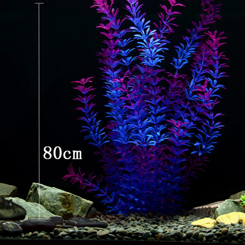 Tanaman Tropis 100cm, Rumput A - Aquarium Planted Substrate ulasan dan harga