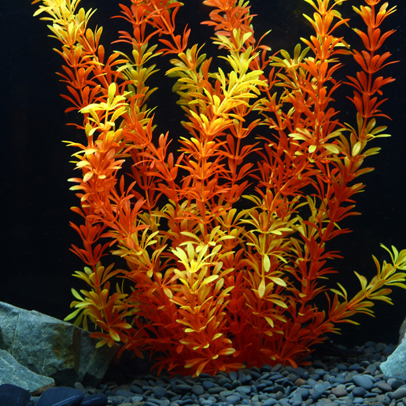 Tanaman Tropis 100cm, Rumput A - Aquarium Planted Substrate ulasan dan harga