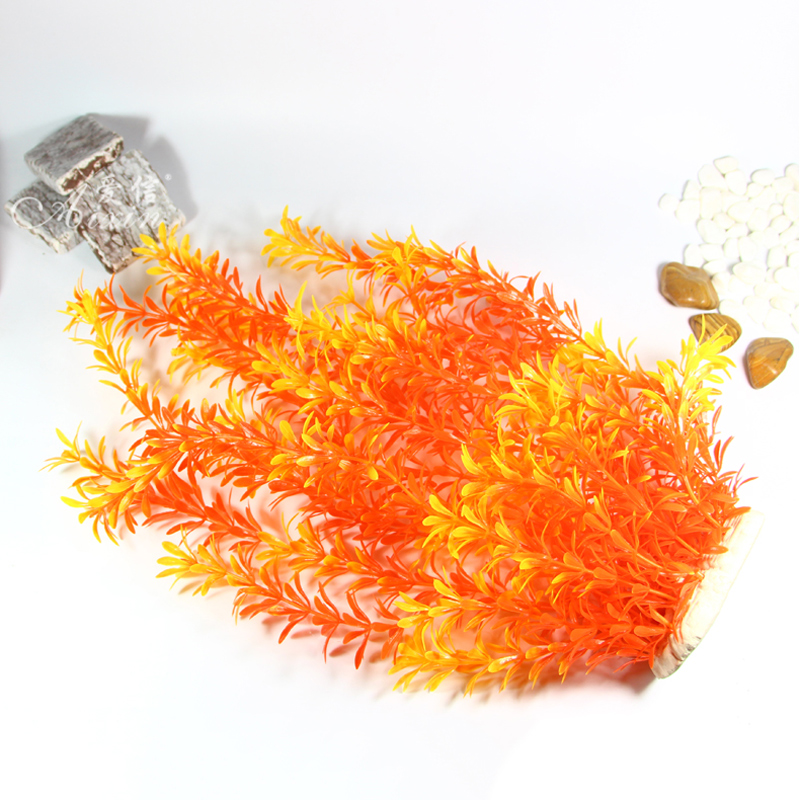 Tanaman Tropis 100cm, Rumput A - Aquarium Planted Substrate ulasan dan harga