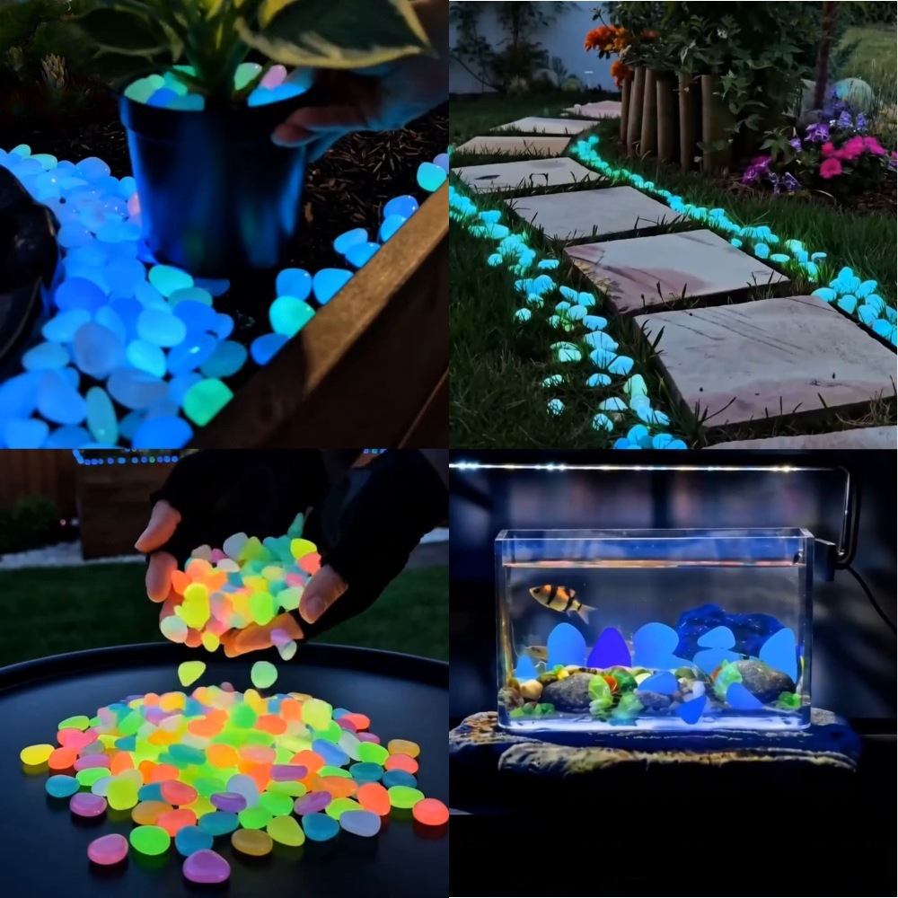 Batu Taman Bercahaya Warna-war - Aquarium Planted Plants ulasan dan harga