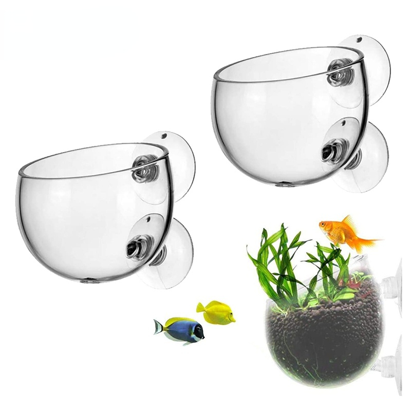 Pot Tanaman Akuarium Baru, Gel - Aquarium Plant Seeds ulasan dan harga