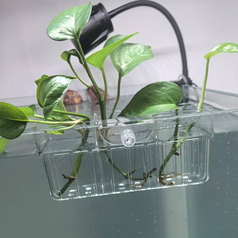 Keranjang Tanaman Hidroponik,  - Aquarium Planted Plants ulasan dan harga