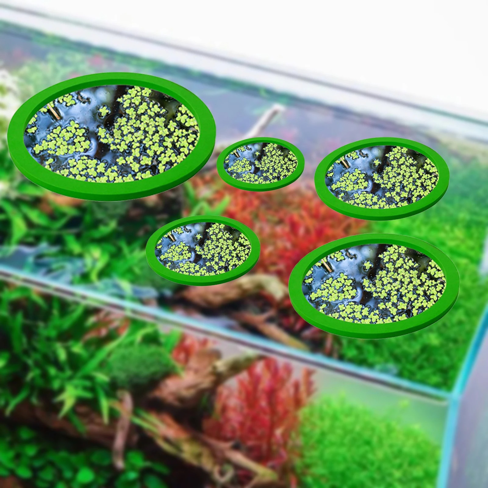 5 buah EVA cincin pemberi maka - Aquarium Planted Plants ulasan dan harga