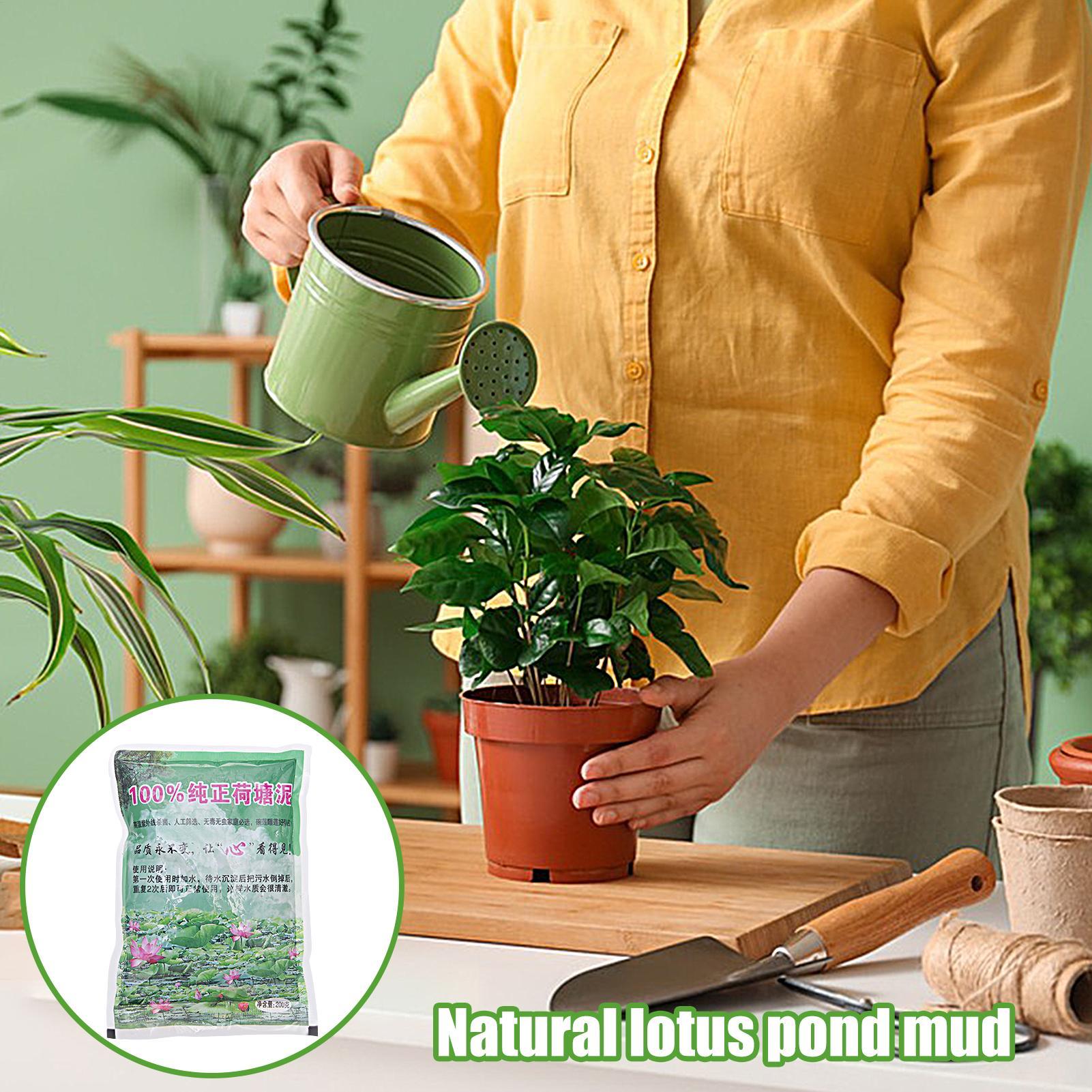 200g/kantong Tanah Akuarium Al - Aquarium Plant Seeds ulasan dan harga