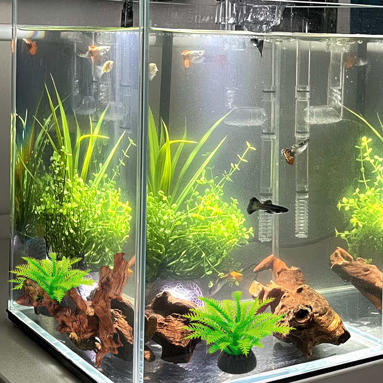 Kayu Apung Alami 5-10CM untuk  - Aquarium Planted Substrate ulasan dan harga