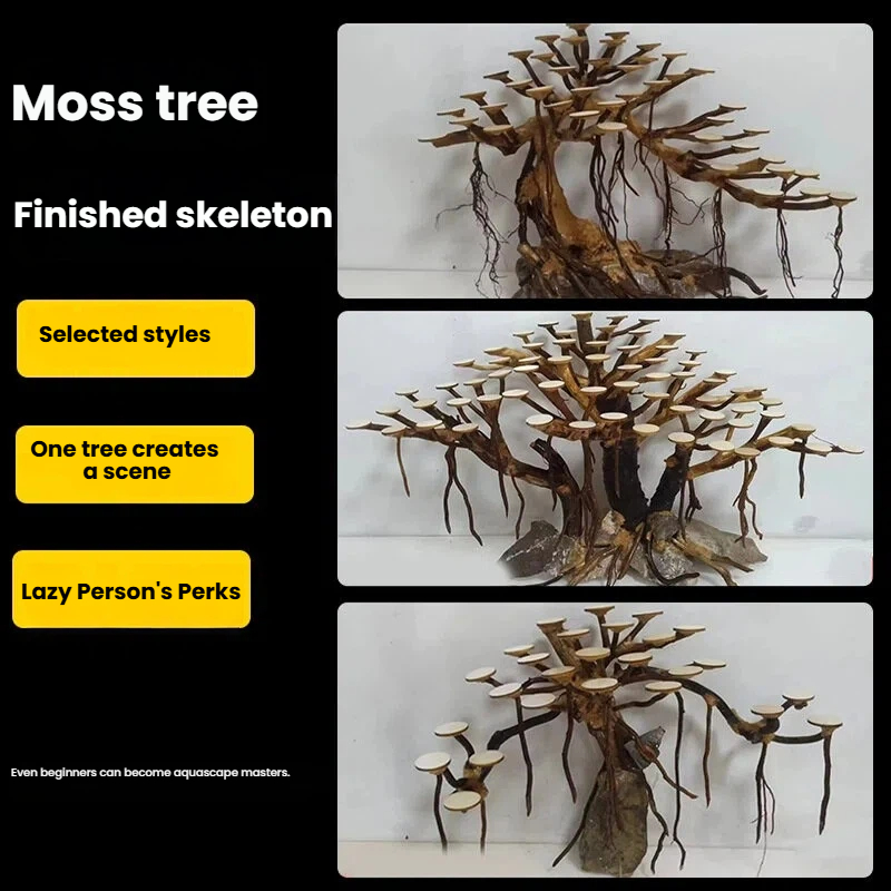 Dekorasi akuarium, hiasan poho - Aquarium Planted Tree ulasan dan harga