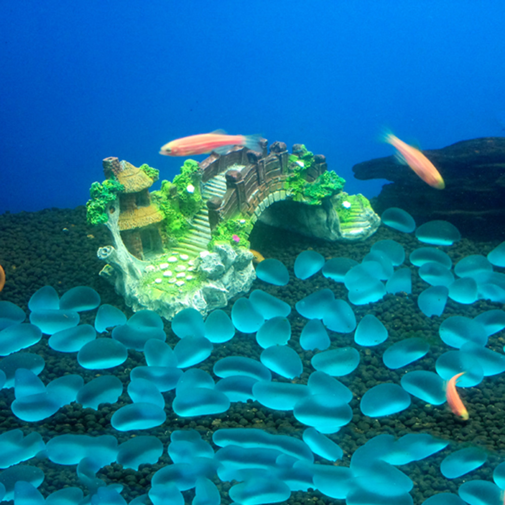 Aksesori akuarium pohon Arbor  - Aquarium Planted Tree ulasan dan harga