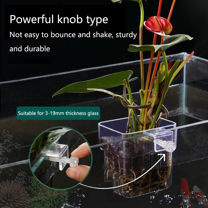 Cangkir Penanaman Hidroponik A - Aquarium Planted Tank Setup ulasan dan harga