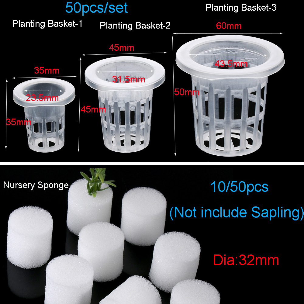 10/50 Buah Perlengkapan Berkeb - Aquarium Plant Seeds ulasan dan harga